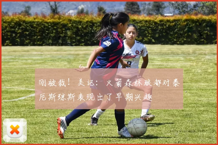 刚被裁！美记：火箭森林狼都对泰厄斯琼斯表现出了早期兴趣